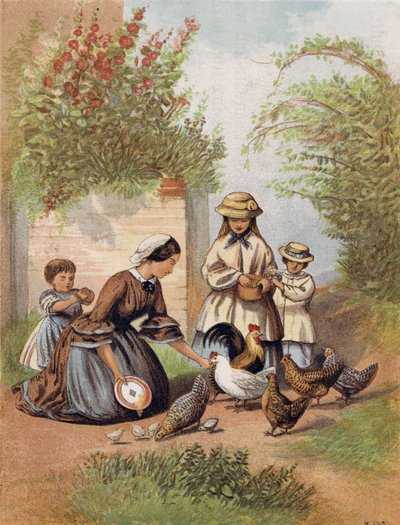 Fodring af høns af English School